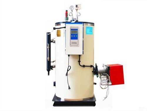 50kg piccolo mini diesel o generatore di vapore a gas vendite calde